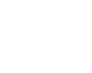 Brixton Motorcycles